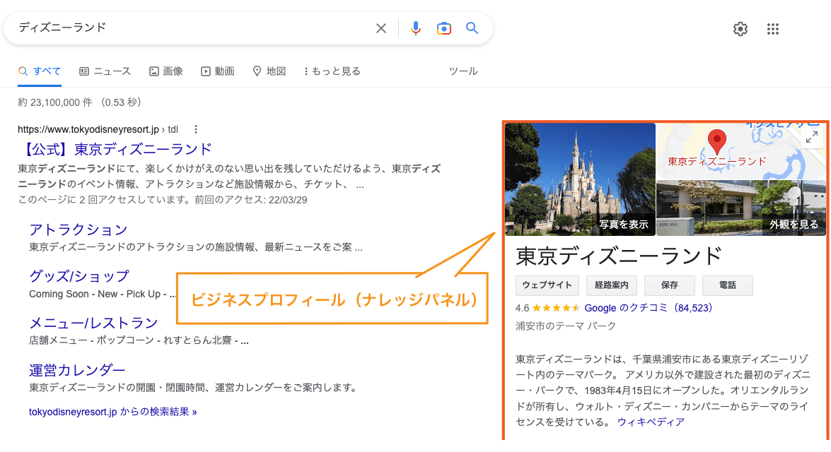 Google検索結果画面の右側に表示されるナレッジパネルの例