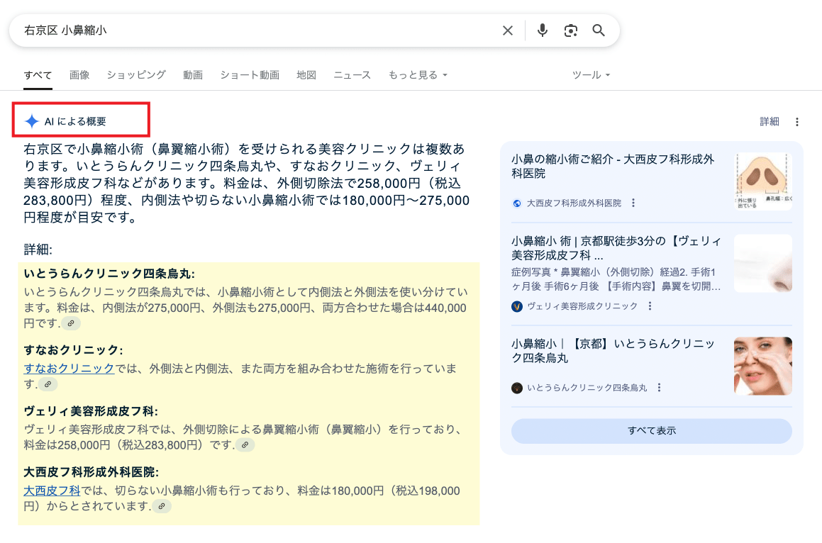 キーワード「右京区 小鼻縮小」で検索したAIによる概要のサンプル