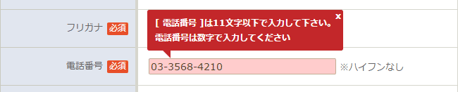 EFOエラー画面、ハイフンを入力してしまっているためのエラー